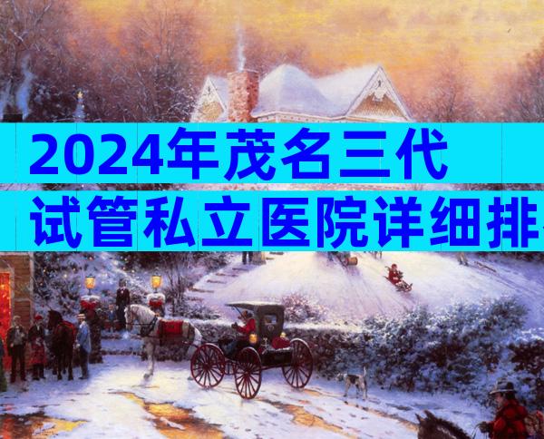 2024年茂名三代试管私立医院详细排名