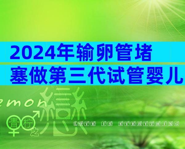 2024年输卵管堵塞做第三代试管婴儿费用解析