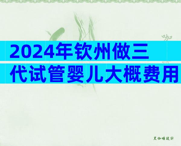 2024年钦州做三代试管婴儿大概费用详细一览