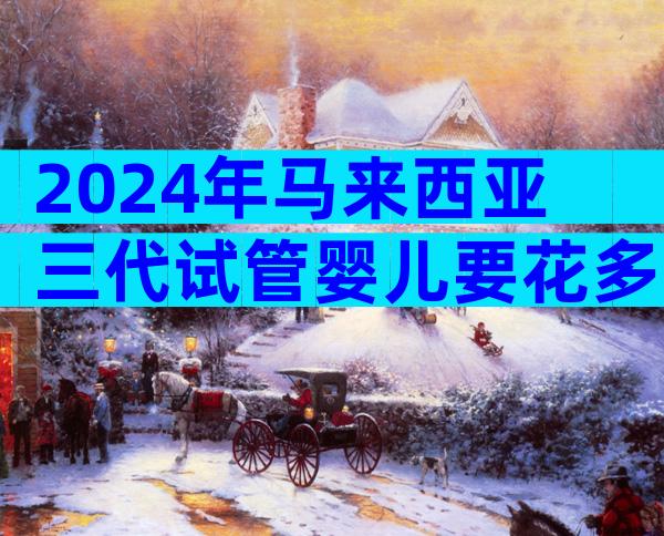 2024年马来西亚三代试管婴儿要花多少钱？主要看成功率吗