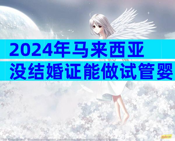 2024年马来西亚没结婚证能做试管婴儿吗？