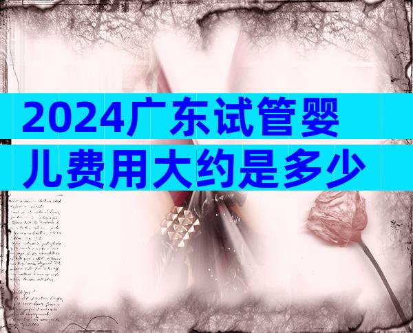 2024广东试管婴儿费用大约是多少