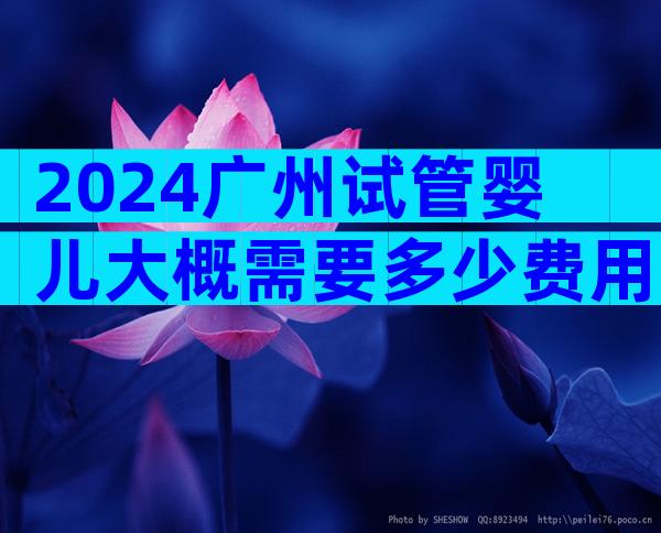 2024广州试管婴儿大概需要多少费用