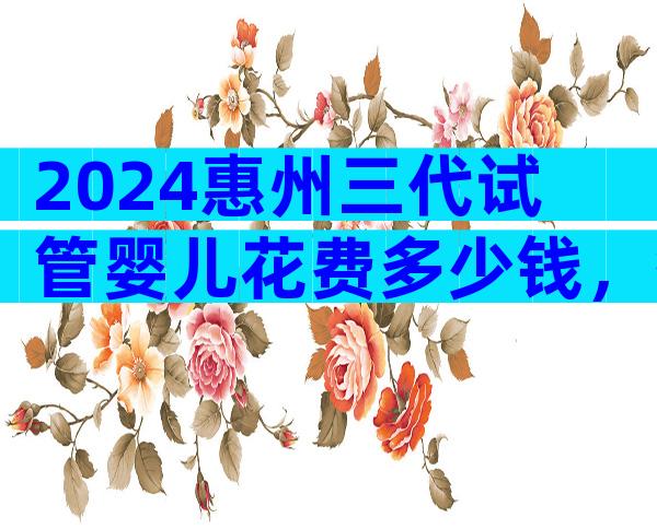 2024惠州三代试管婴儿花费多少钱，答案来了！