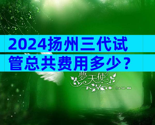 2024扬州三代试管总共费用多少？