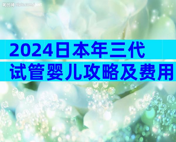 2024日本年三代试管婴儿攻略及费用