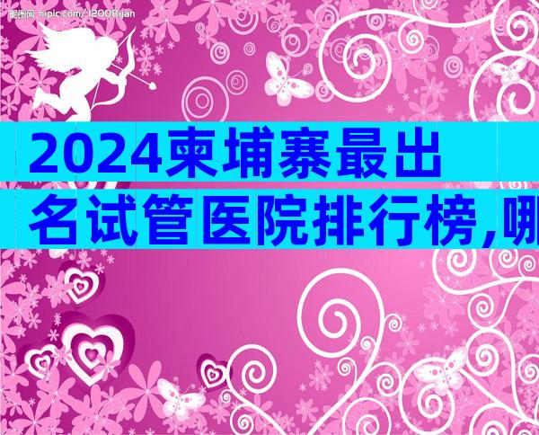 2024柬埔寨最出名试管医院排行榜,哪家做试管好