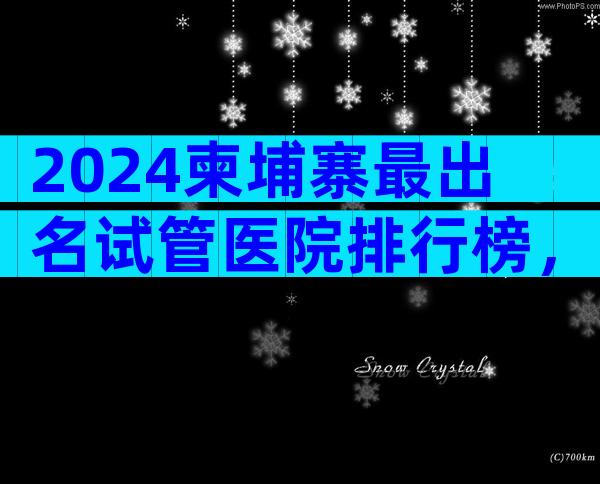 2024柬埔寨最出名试管医院排行榜，哪家做试管好