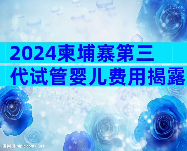 2024柬埔寨第三代试管婴儿费用揭露,做试管的小萌新赶紧看过来
