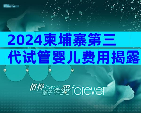 2024柬埔寨第三代试管婴儿费用揭露，做试管的小萌新赶紧看过来
