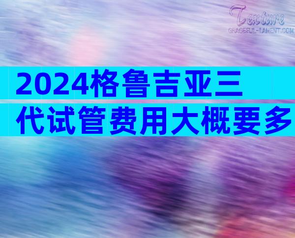 2024格鲁吉亚三代试管费用大概要多少钱？