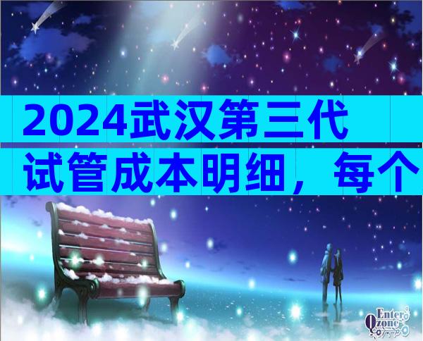 2024武汉第三代试管成本明细，每个周期15万够吗？