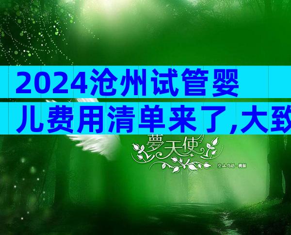 2024沧州试管婴儿费用清单来了,大致开销全部讲清