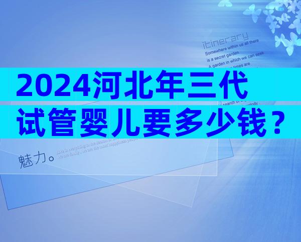 2024河北年三代试管婴儿要多少钱？