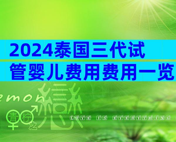 2024泰国三代试管婴儿费用费用一览