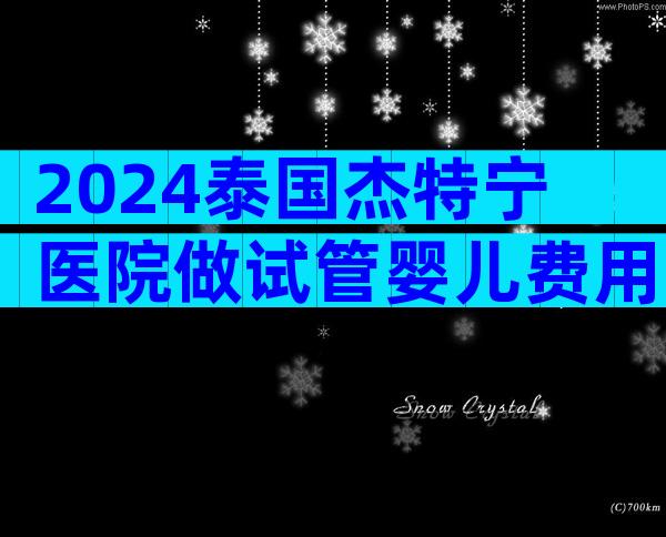 2024泰国杰特宁医院做试管婴儿费用明细一览!