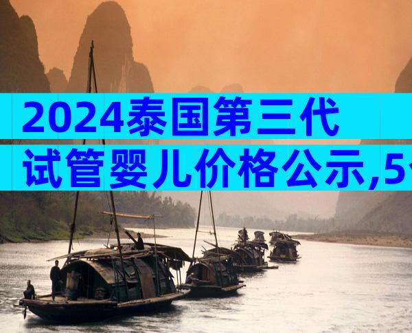 2024泰国第三代试管婴儿价格公示,5个收费项目要弄清楚!