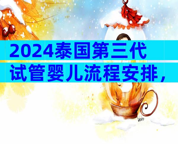 2024泰国第三代试管婴儿流程安排，让你做好十足的准备