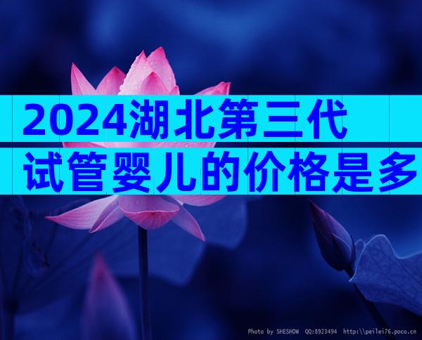 2024湖北第三代试管婴儿的价格是多少？怎样提高成功率？