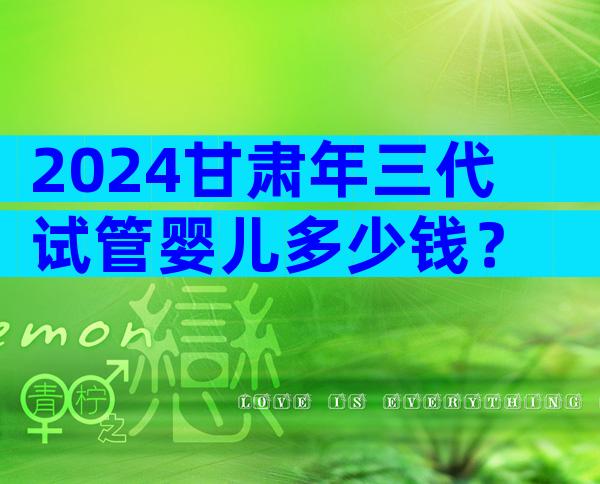 2024甘肃年三代试管婴儿多少钱？