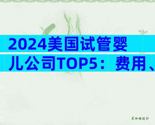 2024美国试管婴儿公司TOP5：费用、成功率与服务全解析