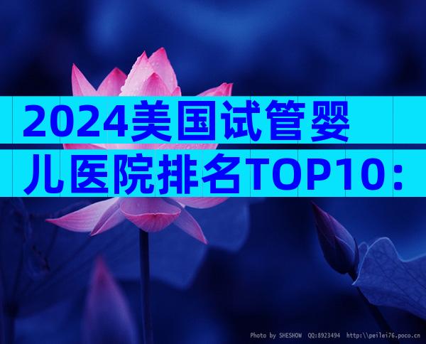 2024美国试管婴儿医院排名TOP10：成功率、费用与流程全解析