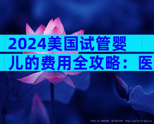 2024美国试管婴儿的费用全攻略：医院、药物与差旅预算详解
