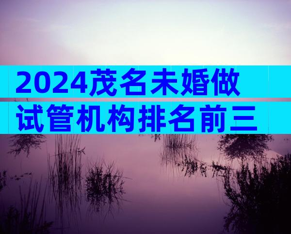 2024茂名未婚做试管机构排名前三