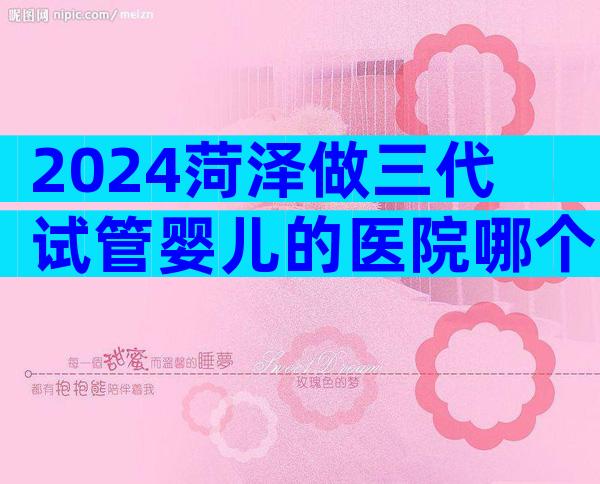 2024菏泽做三代试管婴儿的医院哪个比较好？