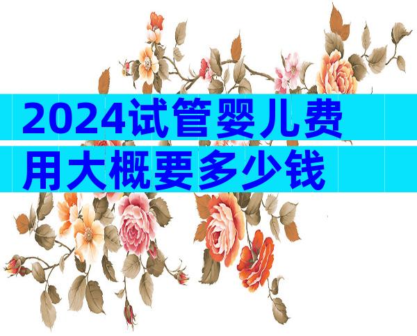 2024试管婴儿费用大概要多少钱