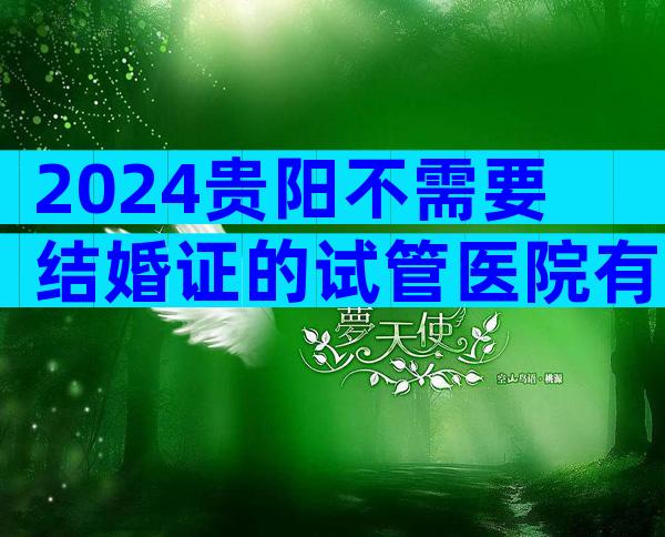 2024贵阳不需要结婚证的试管医院有哪家