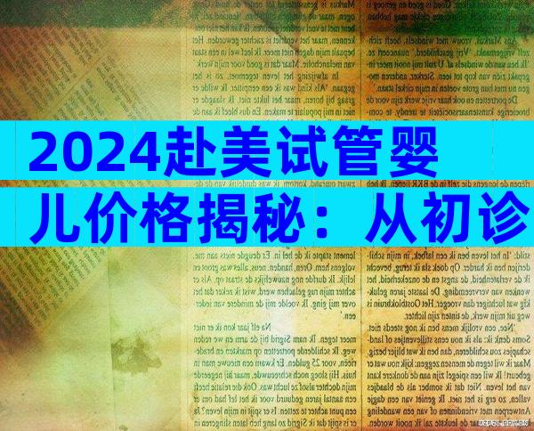 2024赴美试管婴儿价格揭秘：从初诊到成功全程费用一览！