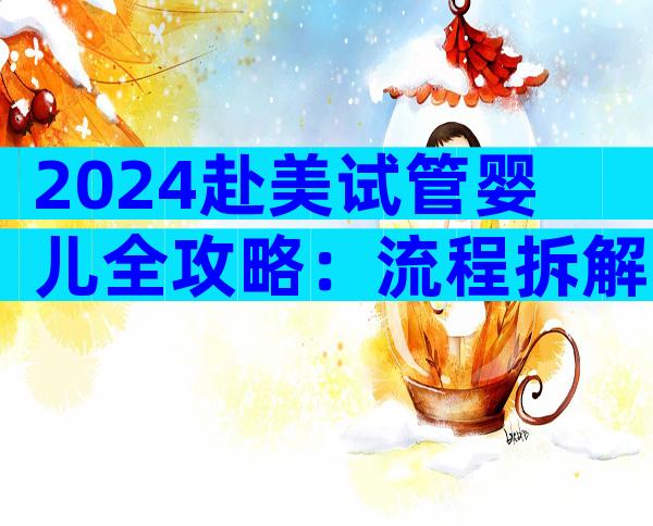2024赴美试管婴儿全攻略：流程拆解、费用明细与成功要点