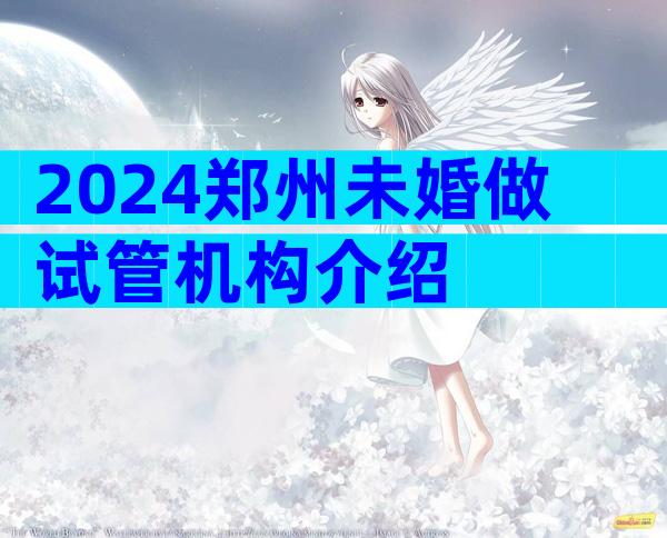 2024郑州未婚做试管机构介绍