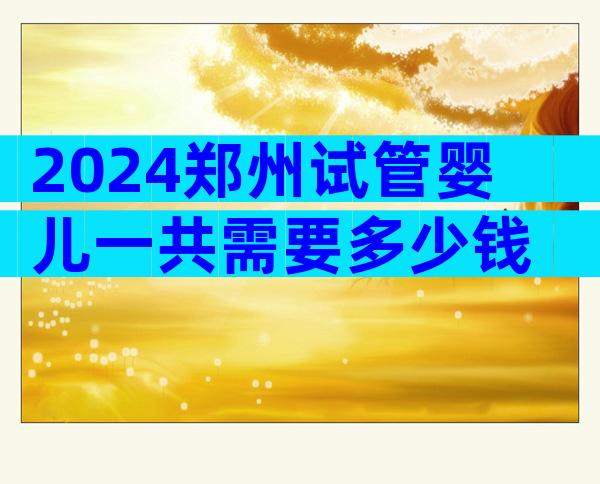 2024郑州试管婴儿一共需要多少钱