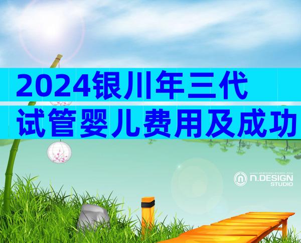 2024银川年三代试管婴儿费用及成功率