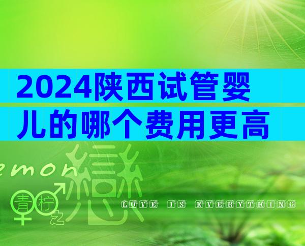 2024陕西试管婴儿的哪个费用更高