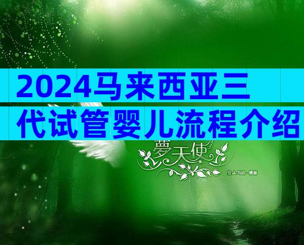 2024马来西亚三代试管婴儿流程介绍,3个步骤就能助你好孕