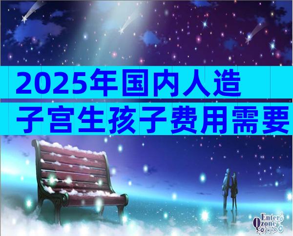 2025年国内人造子宫生孩子费用需要多少钱？