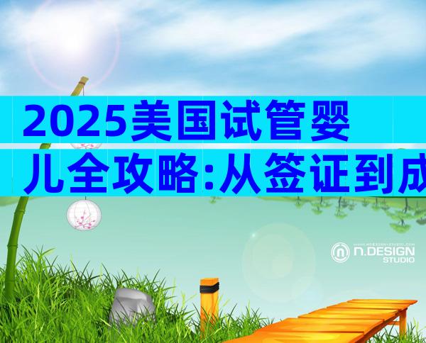 2025美国试管婴儿全攻略:从签证到成功率手把手详解
