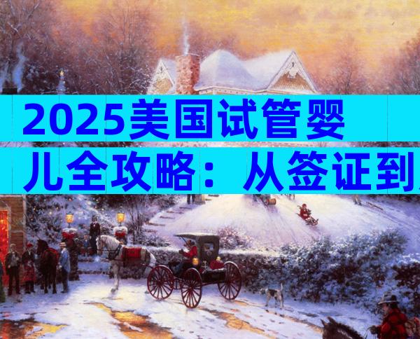 2025美国试管婴儿全攻略：从签证到成功率手把手详解