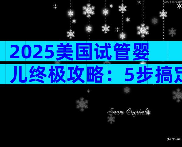 2025美国试管婴儿终极攻略：5步搞定高成功率与签证办理
