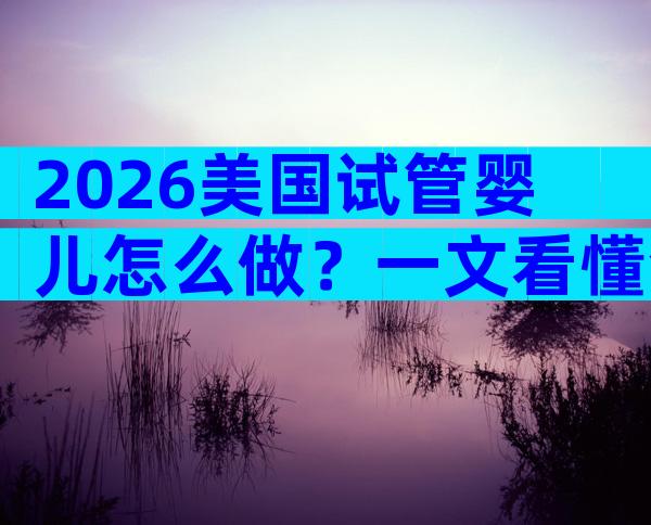 2026美国试管婴儿怎么做？一文看懂全流程与关键要点