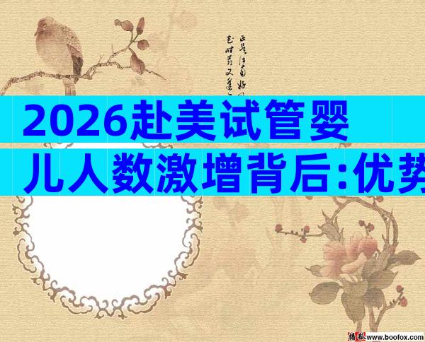 2026赴美试管婴儿人数激增背后:优势、成本与最新趋势全解析