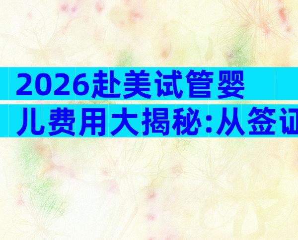 2026赴美试管婴儿费用大揭秘:从签证到试管全流程预算