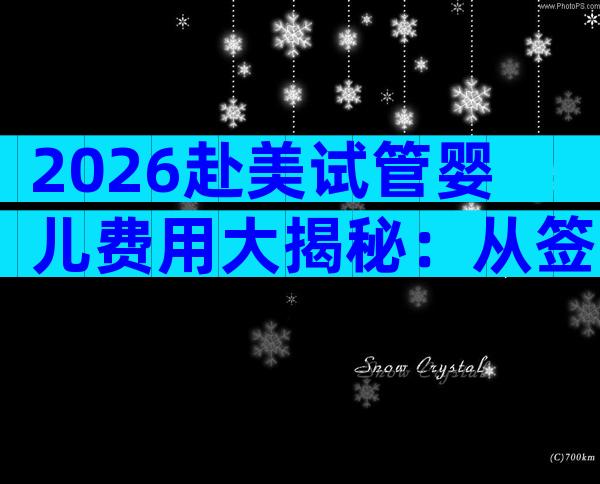 2026赴美试管婴儿费用大揭秘：从签证到试管全流程预算