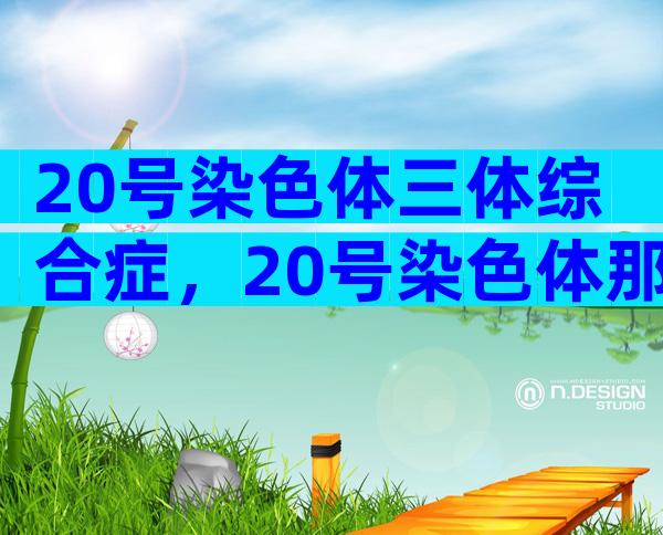 20号染色体三体综合症，20号染色体那些事儿