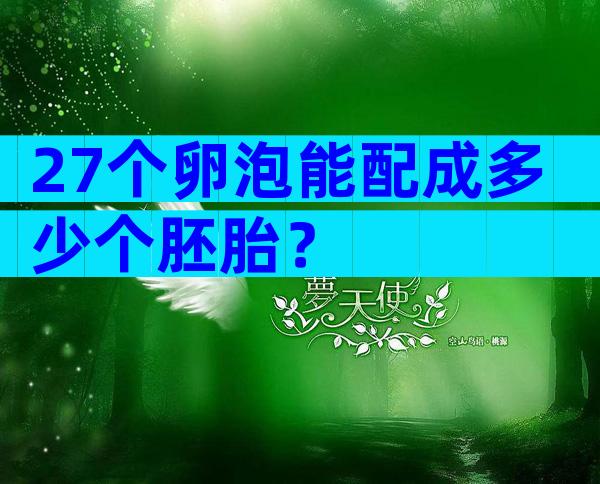 27个卵泡能配成多少个胚胎？