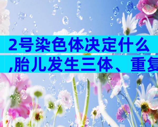 2号染色体决定什么,胎儿发生三体、重复都不要