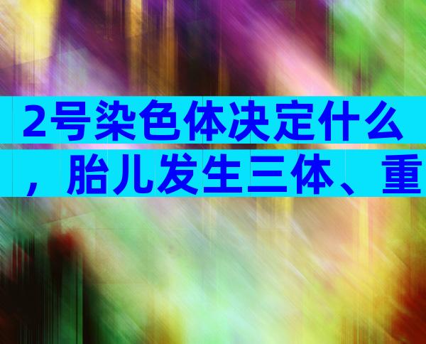 2号染色体决定什么，胎儿发生三体、重复都不要